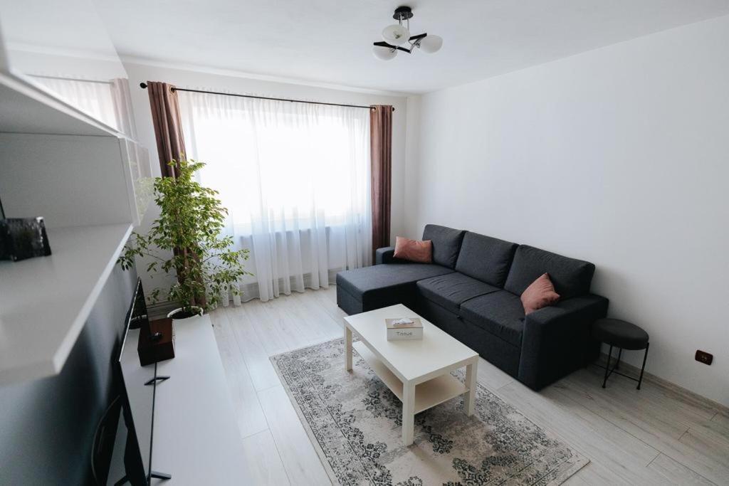 Apartmán Scandinavian House Târgu Jiu Exteriér fotografie